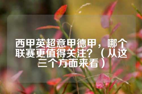 第三节的