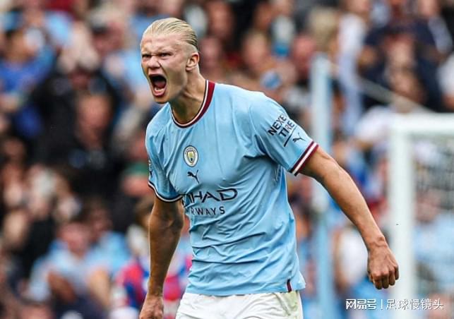 稳定的组织 稳定的组织