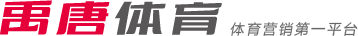 队在技战术 队在技战术